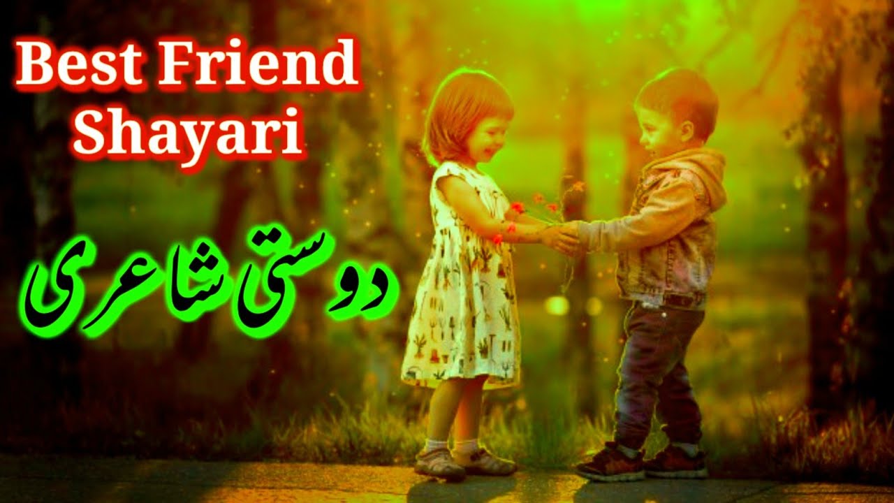 Best Friend Shayari Status Best Friendship Shayari Video Dosti