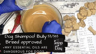 Recipe Day! Dog Shampoo! | Day 53/365