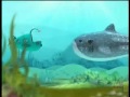 S1e01 The Whale Shark Avi