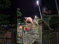 #calisthenics #motivation