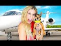 Surprising Our Dog With Private Jet After Surgery