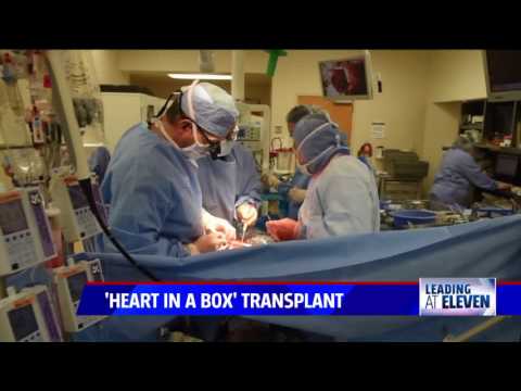 Video: 9 Skillnader Mellan En Michigan Lokal Och En Transplantation - Matador Network