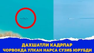 Чорвакда улкан балик суратга олинди