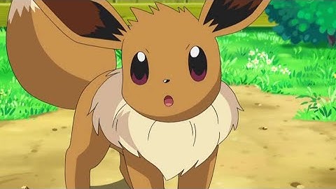 Ranking Every Eeveelution From My Least Favourite To Most Favourite