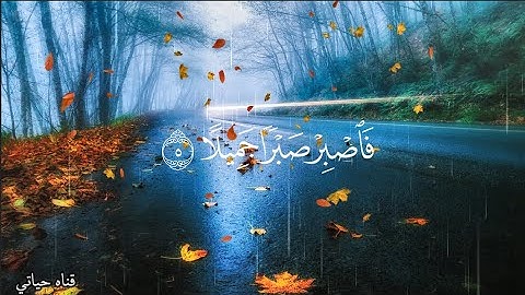 فاصبر صبرا جميلا القارئ حمزة بوديب ❤️ حالات واتس اب ❤️
