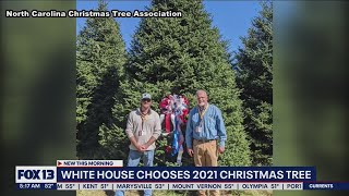 White House chooses 2021 Christmas tree