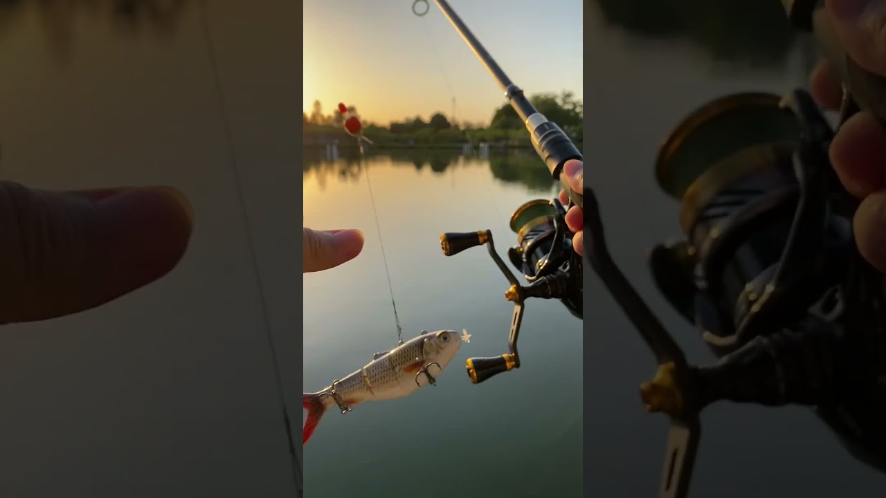 HADORAM Robotic Swimming Lure 5 1 Fishing 4 Segement Multi Jointed Electric Bait LED Light