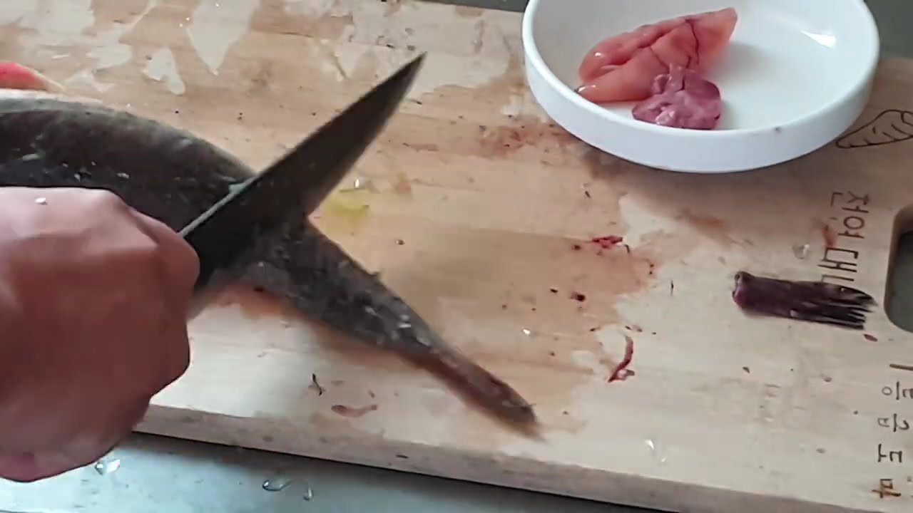 May 28, 2025 장대 손질