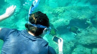 SWIMMING WITH SHARKS!!!
Our baby has a few firsts - first time sitting on his own, first time eating solids, and first time on a merry-go-round! Then we go to the ocean and swim with SHARKS!
Look Below to See More!
SUBSCRIBE to our Weekly Vlogs - https://www.youtube.com/channel/UCEdD2HW2-XI5vSaeOMJkPNw
**Our Social Media Accounts**
Follow us on Instagram - https://www.instagram.com/hopefullhap...
Follow us on Twitter - https://twitter.com/hopefullhappens
Follow us on Pinterest - https://www.pinterest.com/lissyloo/
**Adventure Recaps**
Europe - https://www.youtube.com/watch?v=pMoFp...
**Contact**
Email - danielmelissa.hope@gmail.com SWIMMING WITH SHARKS!!!