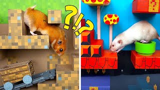 Minecraft倉鼠迷宮VS超級瑪利歐老鼠迷宮||硬紙板手工