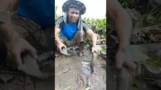 Excellent Fishing Skill | Amazing Fisherman Catch A Lots Of fish Under Grass