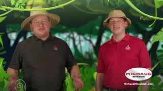 Michaud Mitsubishi 'It's a Jungle'