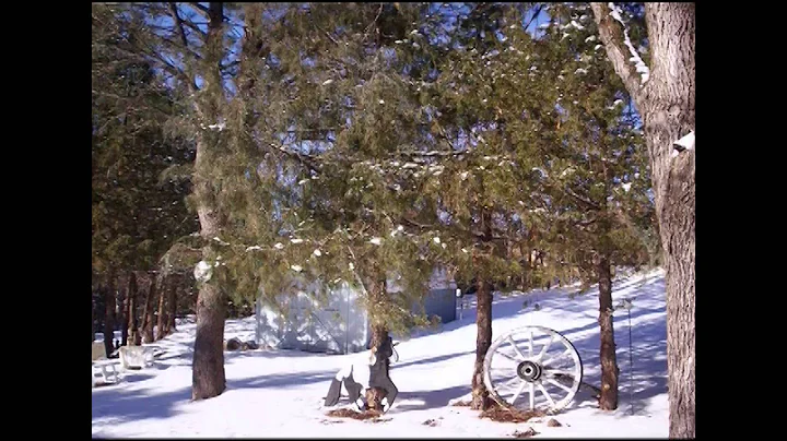 Ken Marlatt, Howard Cox and Kristi Hills - Christm...