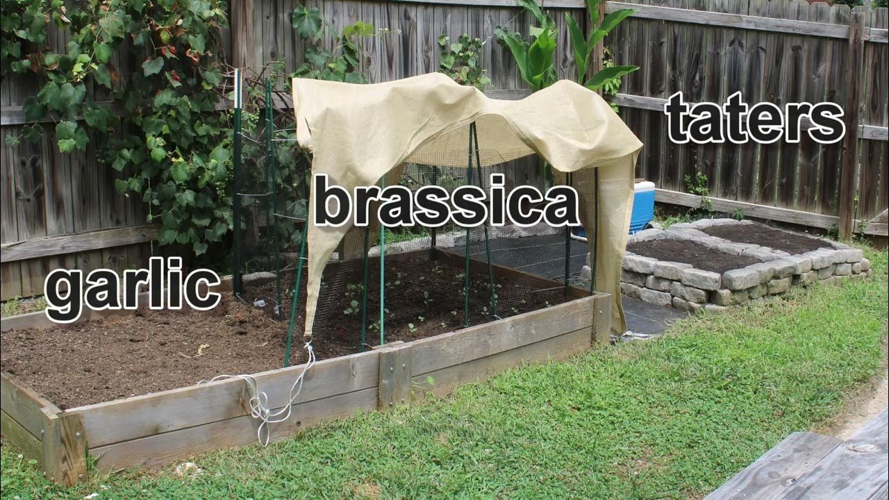 What to Plant in July Zone 7 & When To Start Your Fall Garden YouTube