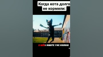 Когда кота долго не кормили #shorts #a4 #a4omg #kobakow