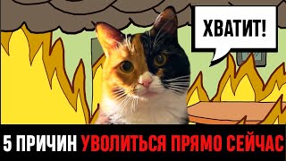 видео: Когда 100% пора увольняться? 5 причин картинка: Когда 100% пора увольняться? 5 причин