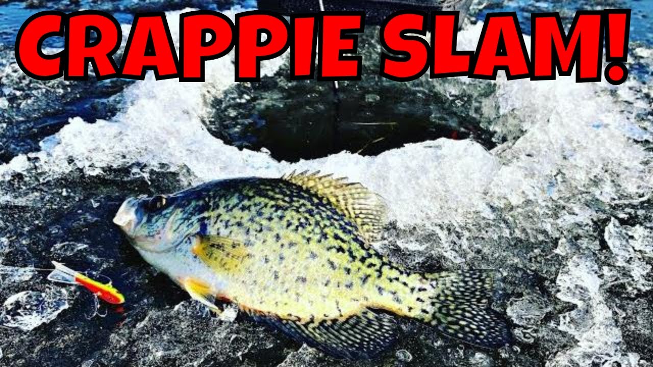 Wisconsin Ice Fishing Crappies 2018-2019 | INSANE SCHOOLS!