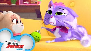 Hissy Needs To Sleep Music Video Puppy Dog Pals Disney Junior