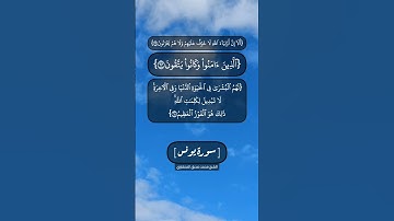 سورة يونس الآية ٦٢ الى ٦٥ بصوت الشيخ محمد صديق المنشاوي