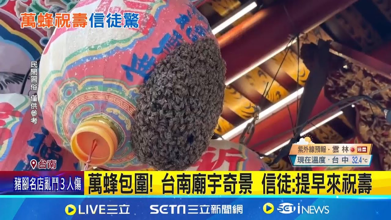 萬蜂包圍! 台南廟宇奇景 信徒:提早來祝壽 暖壽?  廣澤尊王壽誕前夕 萬蜂包圍永華宮｜三立新聞網 SETN.com