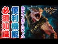 【バルダーズゲート3】冒険を快適に！基本知識と便利機能 #バルダーズゲート3 #baldursgate3
