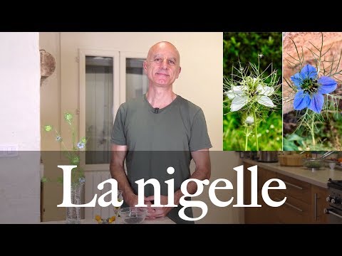 Vidéo: Nigelle