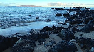 Oceanic Oasis Nature Sounds