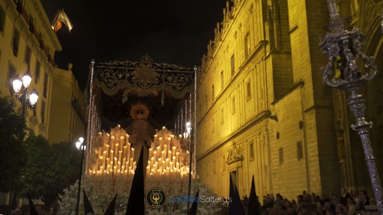 Entrada Santa Iglesia Catedral | Domingo de Ramos (Hdad. de la Estrella) 2025