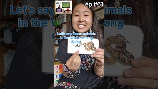 Famous Hmong phrase EP 61 animals #learnhmong #bilingual #languagelearning Profile