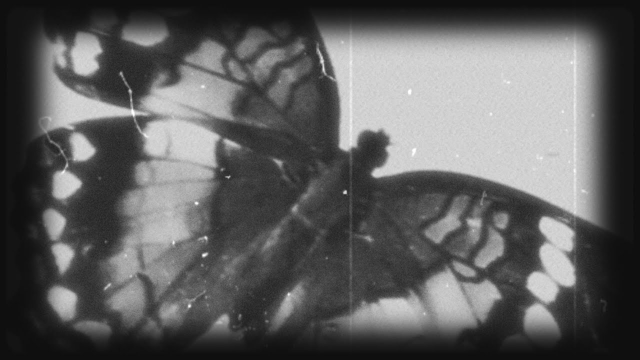 Vuela - junkee´n´McJoulen Prod.JunkeeDee