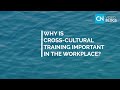 Why is cross-cultural training important in the workplace? - VIDEO BLOGS by Country Navigator