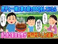 【2ch馴れ初め】息子と一緒に家の庭でBBQをしていたら→ボロボロの盲目女性が突然突入した結果…【伝説のスレ】