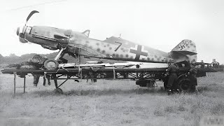 When German Pilots Tested A Captured Mustang, They Were Shocked By Its Unreal Handling