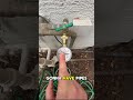 Your home’s water pipes might be about to burst and there is only one way to find out!