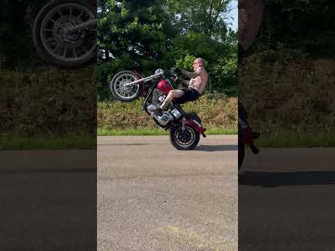 Marino Morning Ridingon Starboyz Stargirlz Shotcrew Stevezorg 