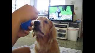 Jake Goes On An Easter Egg Hunt!