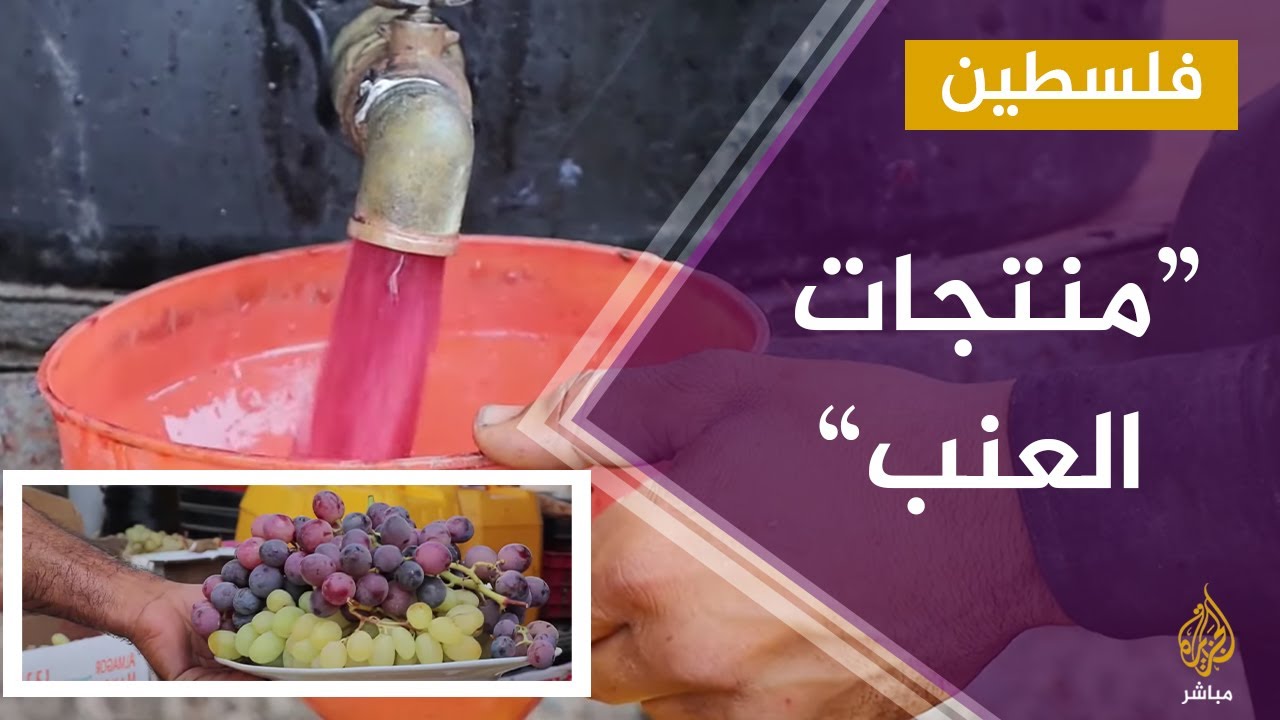 تصنيع منتجات العنب في الخليل الفلسطينية