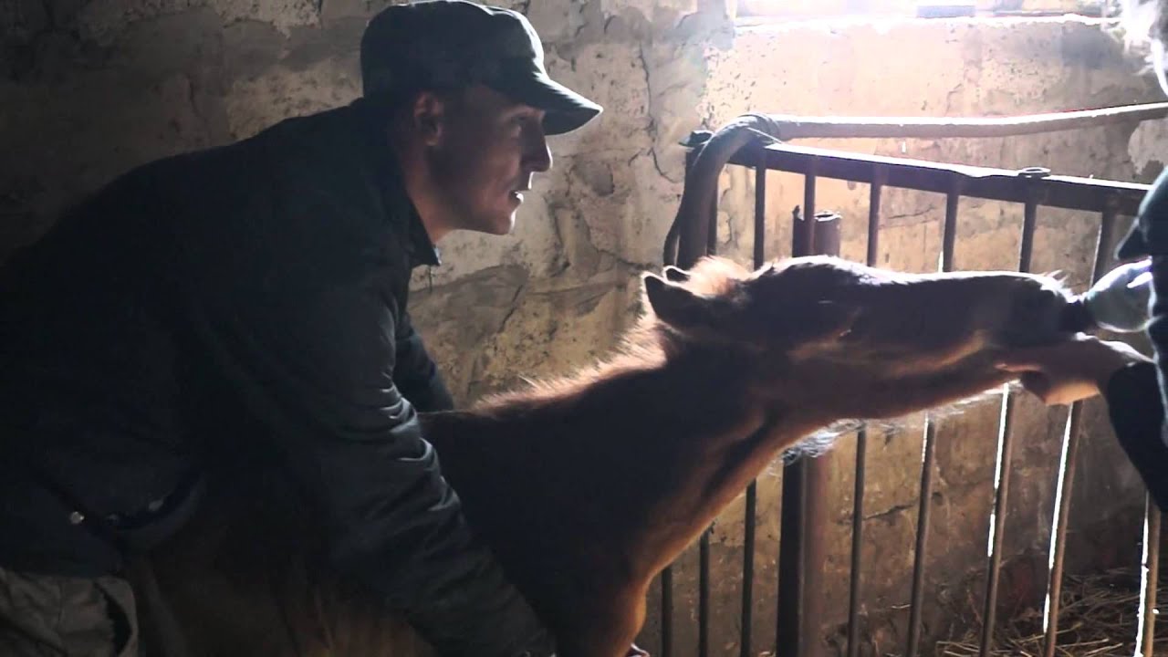 молодой фермер ютуб херсон