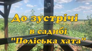 Велика альтанка в садибі &quot;Поліська хата&quot;