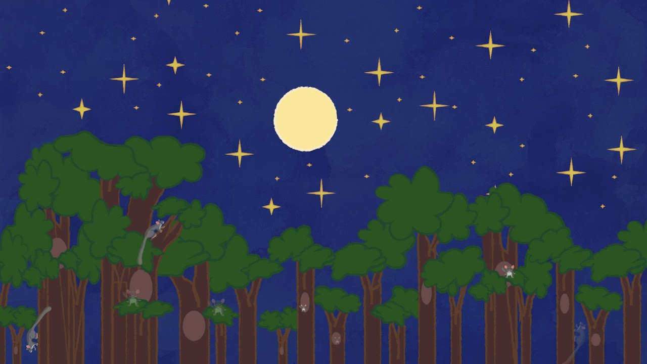 Emma Patricia Katili, 'Action for Animals Leadbeater's Possum' (2023