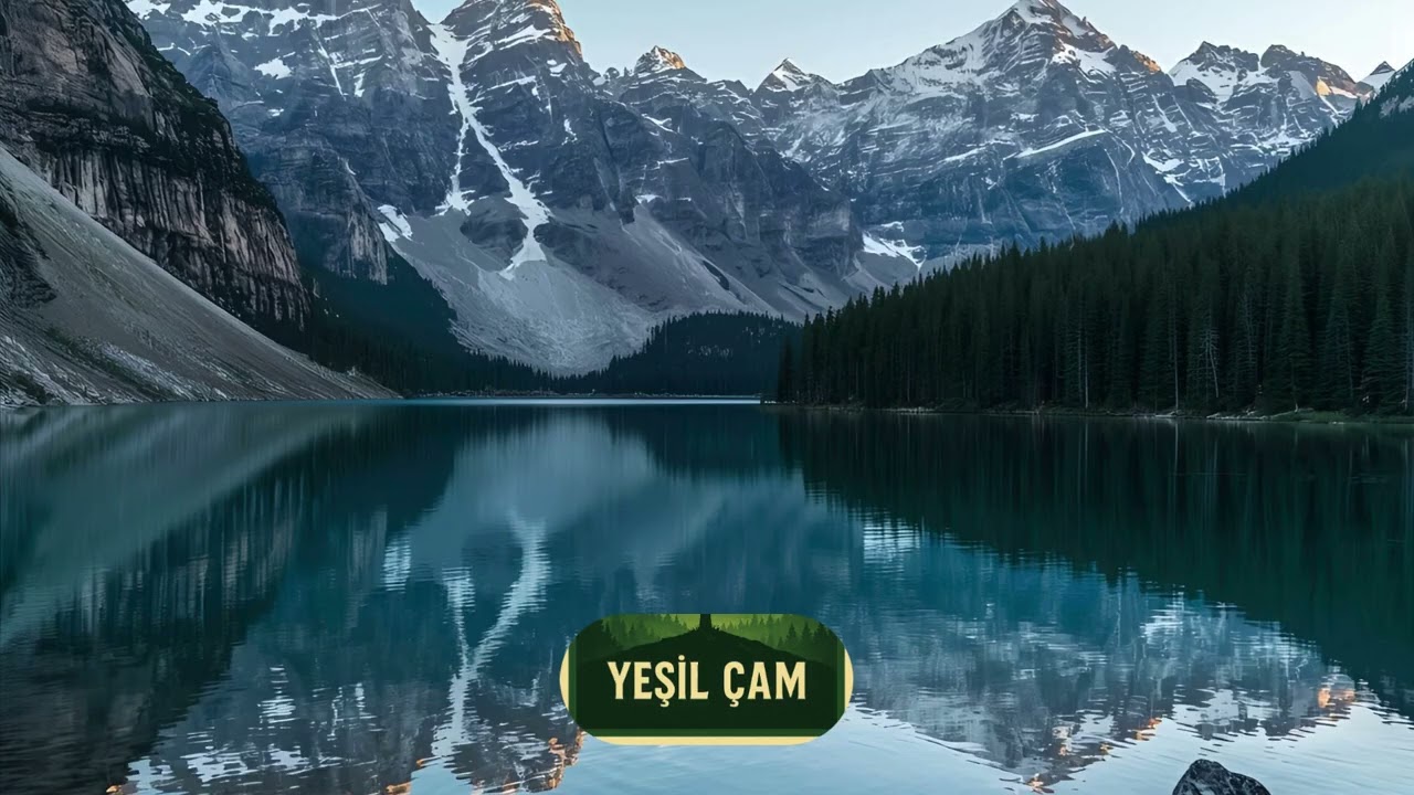 Yerinde Dur Yerinde dur  1960 lı yıllar.