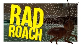 Rad Roach │ Cockroach Simulator Funny Moments