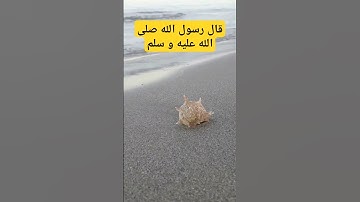 حديث نبوي#اذكار_المساء #دعاء_الرزق #اذكار_الصباح #أذكارالنوم #ترند #دعاء #دعاء_الصباح #دعاء_الأم