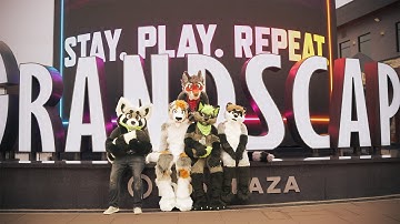 DFA - Fursuiting at Grandscape (The Colony, TX)