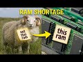 Is AI causing RAM shortage?
