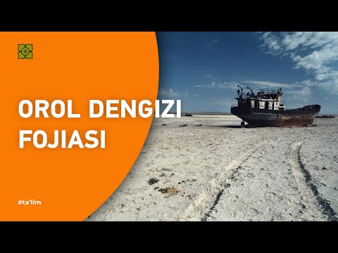 Orol dengizi fojiasi. Orol: oʻlimdan keyin hayot mavjudmi? Ekologiya. | XURMO [Все как у зверей]