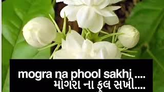 Mogra na phool sakhi ...