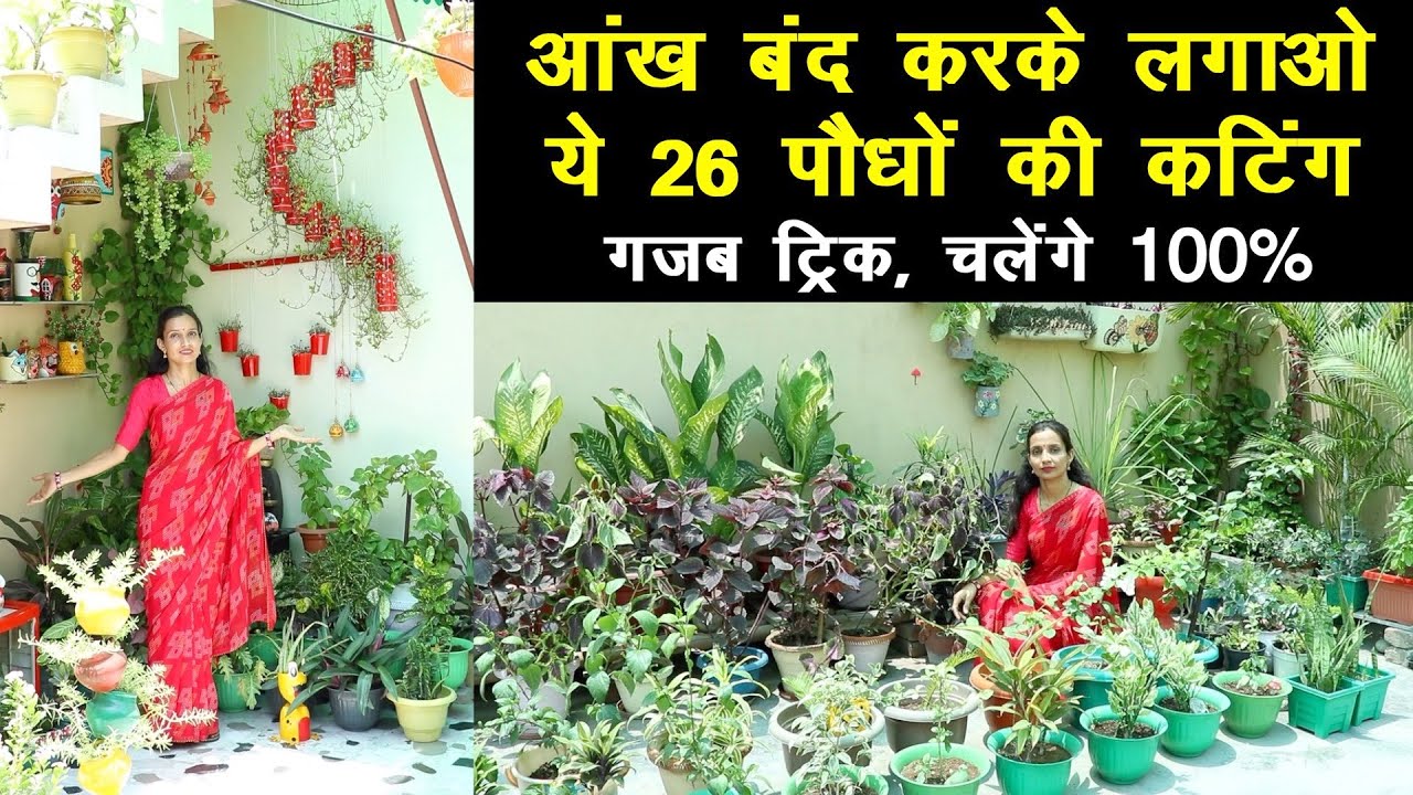 अब फ्री में बनाओ घर पर गार्डन 😍 कटिंग से लगे ये 26 प्लांट चलेंगे 100% 🌿 | Unique Farming