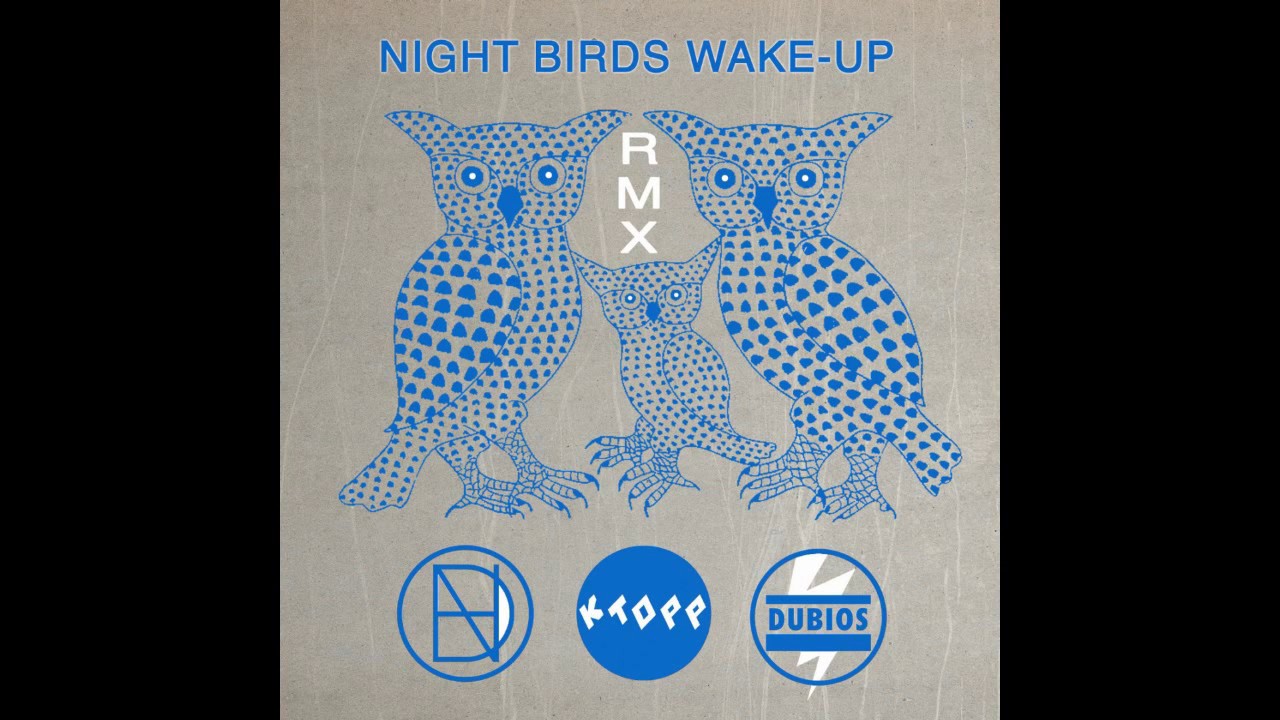 KTOPP meets Natural High Dubs - Night Birds Wake Up [Steppas rmx]