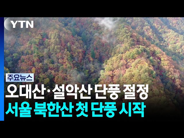 [날씨] 강원 '붉은 물결 절정' 북한산 첫 단풍...일요일 '요란한 비' / YTN